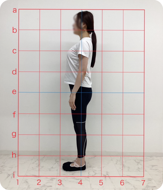 ピラティス ギャラリー