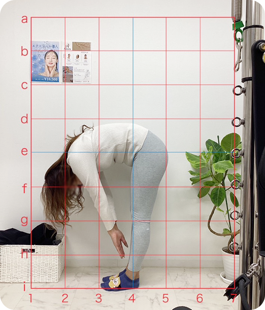 ピラティス ギャラリー