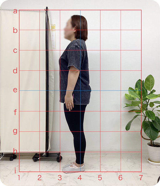 ピラティス ギャラリー