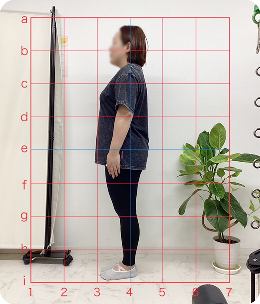 ピラティス ギャラリー