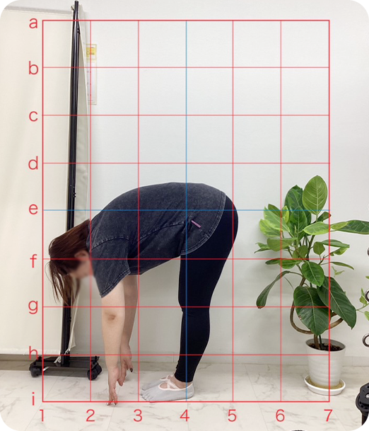 ピラティス ギャラリー