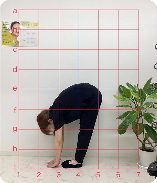 ピラティス ギャラリー