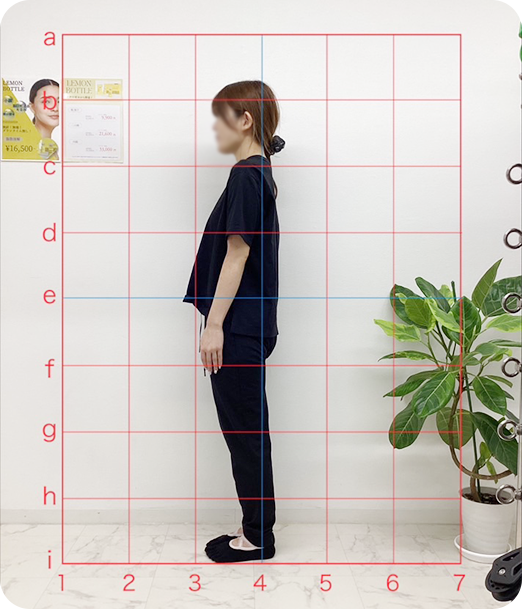 ピラティス ギャラリー