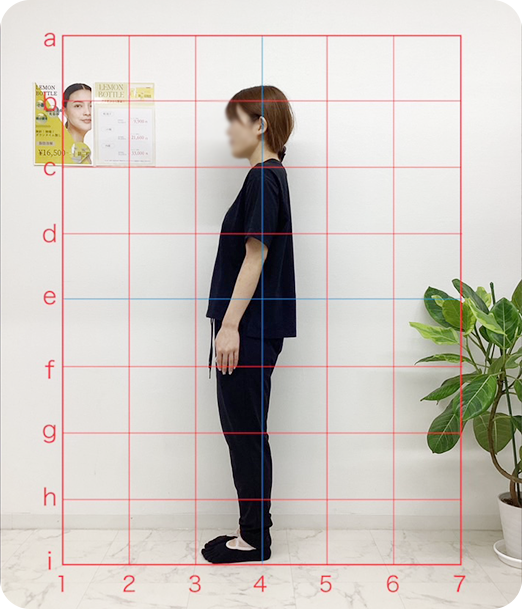 ピラティス ギャラリー