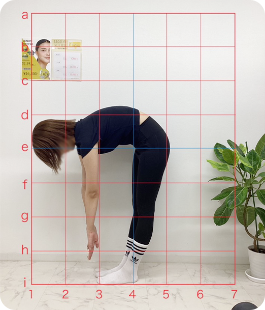 ピラティス ギャラリー