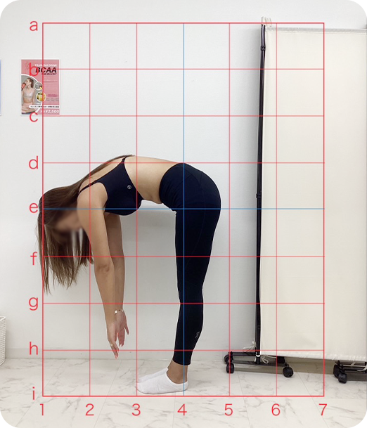 ピラティス ギャラリー