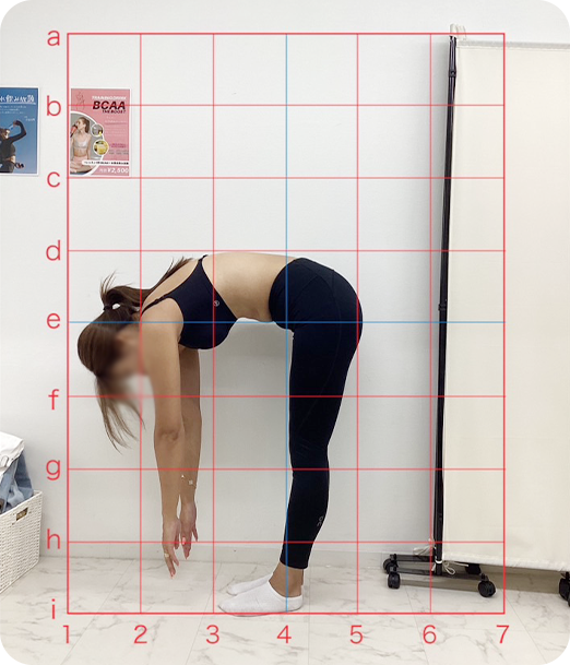 ピラティス ギャラリー