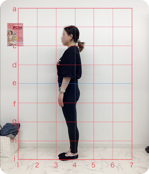 ピラティス ギャラリー