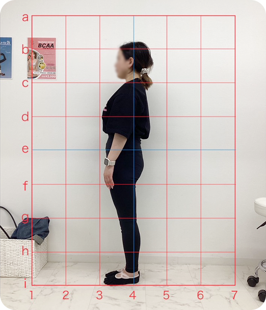 ピラティス ギャラリー