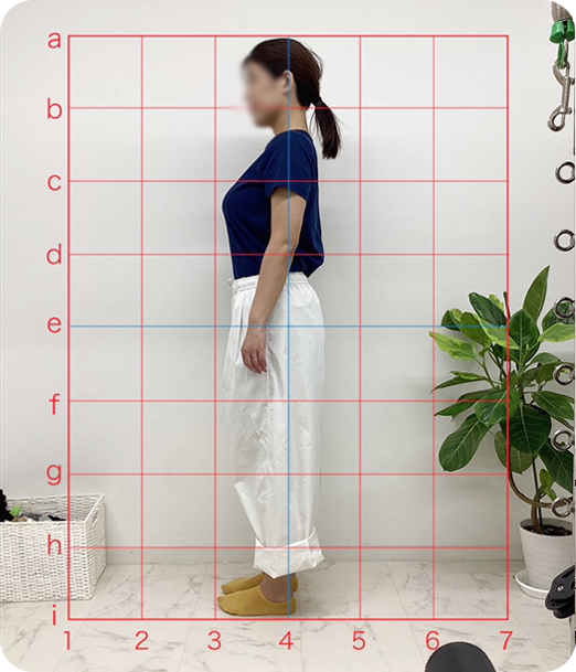 ピラティス ギャラリー