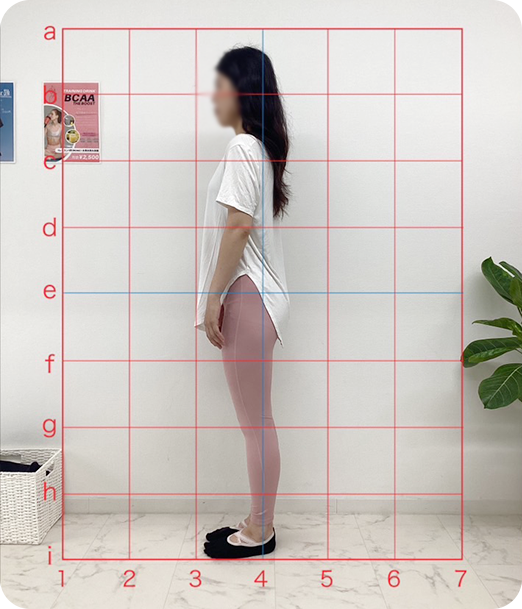 ピラティス ギャラリー