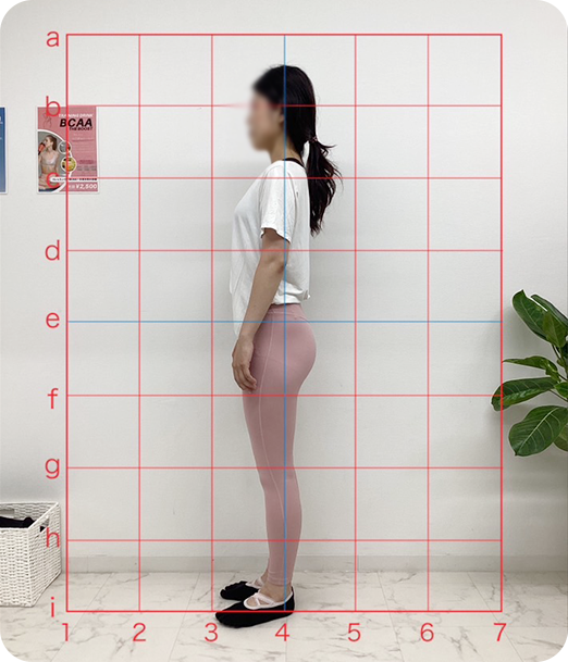 ピラティス ギャラリー