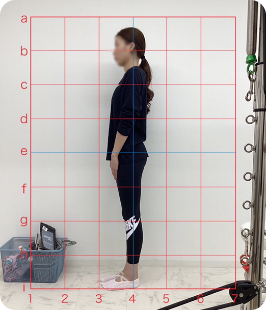 ピラティス ギャラリー