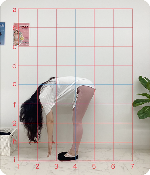 ピラティス ギャラリー