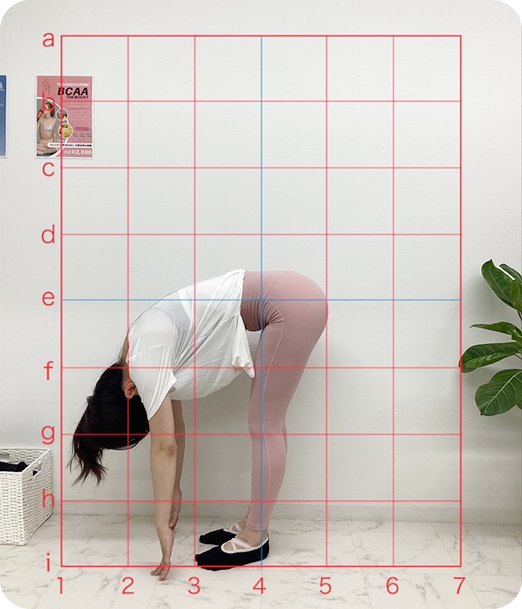 ピラティス ギャラリー