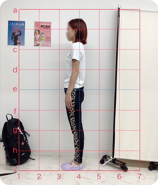 ピラティス ギャラリー