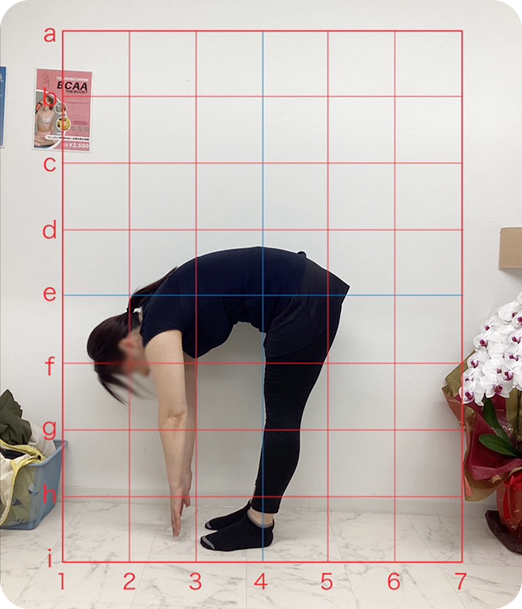 ピラティス ギャラリー