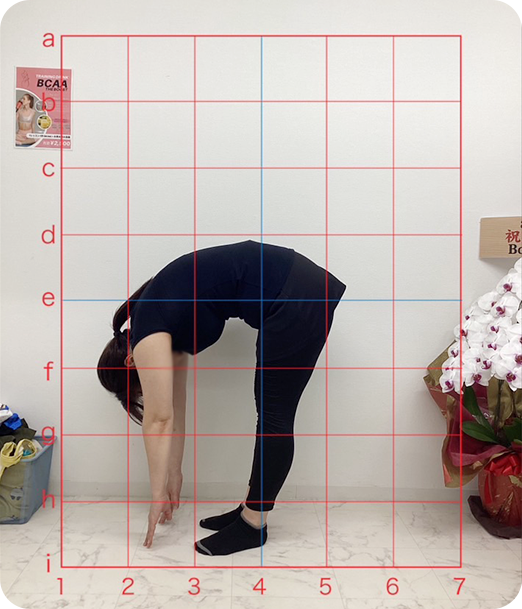 ピラティス ギャラリー