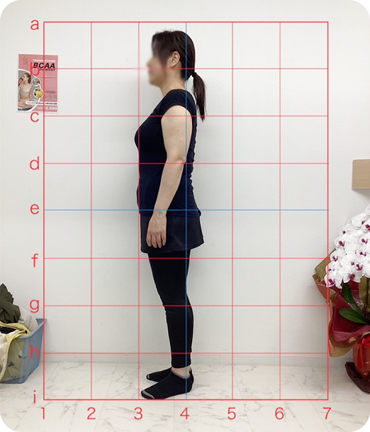 ピラティス ギャラリー