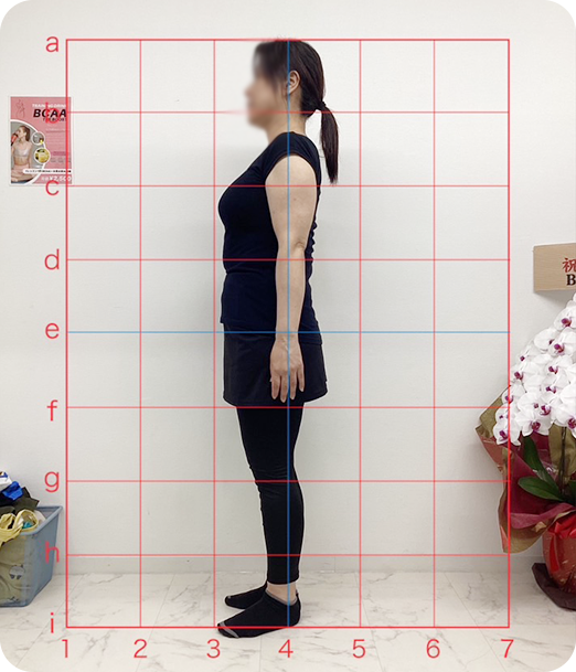 ピラティス ギャラリー