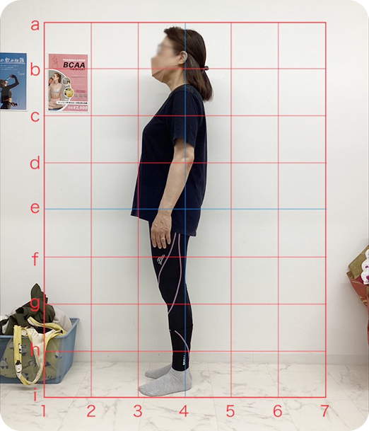 ピラティス ギャラリー