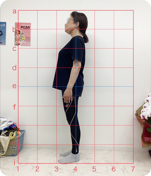 ピラティス ギャラリー