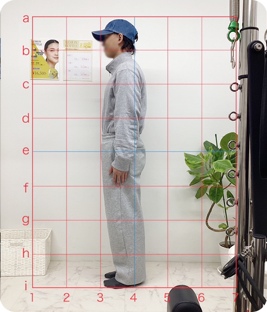 ピラティス ギャラリー