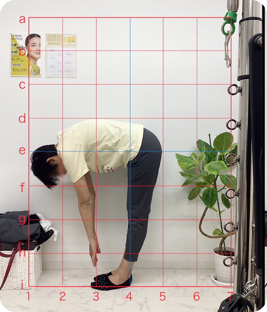 ピラティス ギャラリー