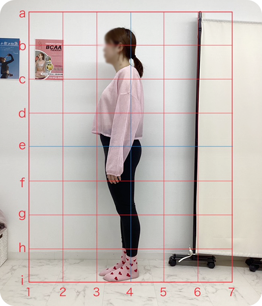 ピラティス ギャラリー