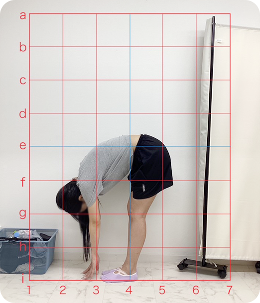 ピラティス ギャラリー