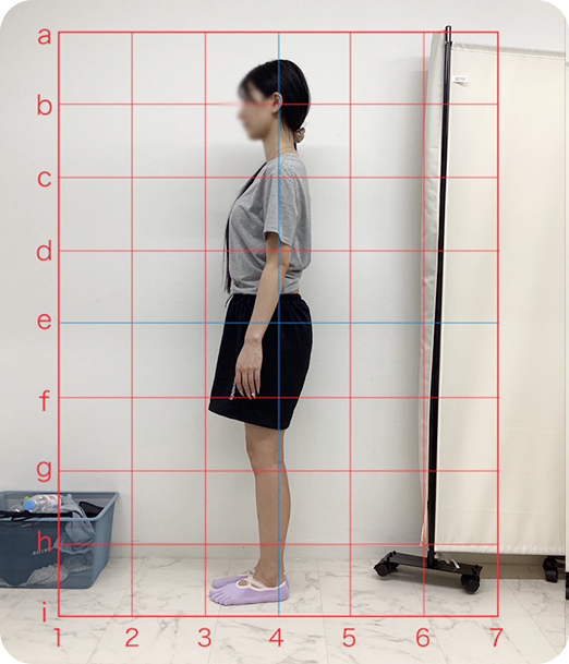 ピラティス ギャラリー