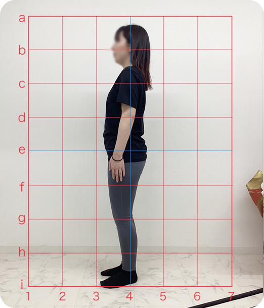 ピラティス ギャラリー