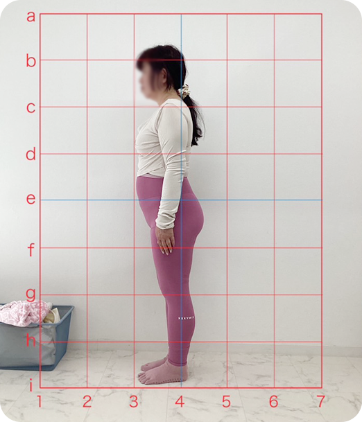 ピラティス ギャラリー