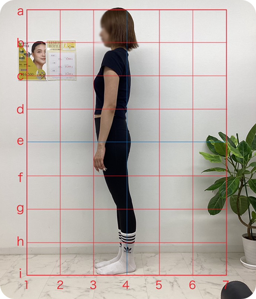 ピラティス ギャラリー