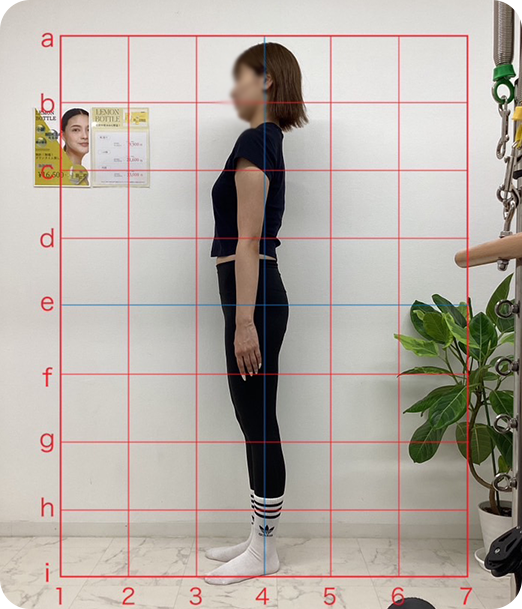 ピラティス ギャラリー