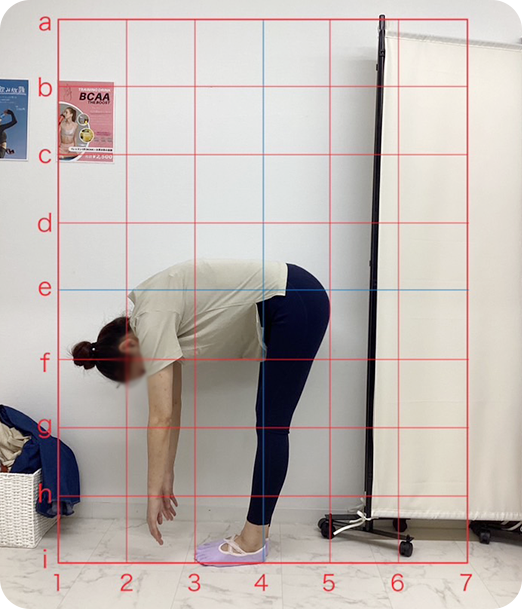 ピラティス ギャラリー