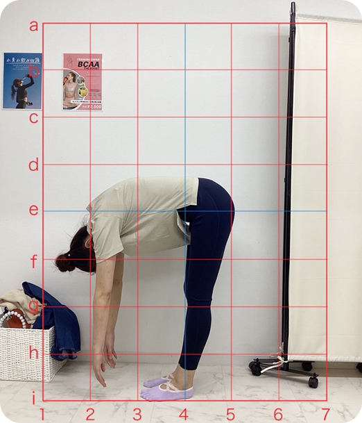 ピラティス ギャラリー