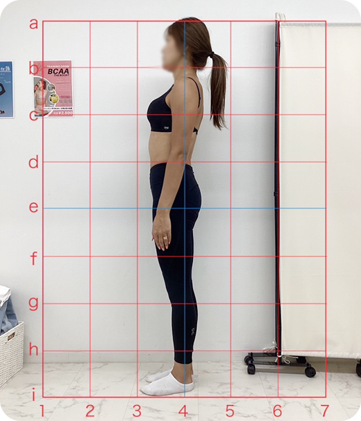 ピラティス ギャラリー