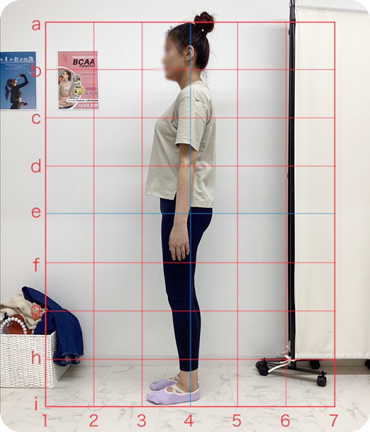 ピラティス ギャラリー